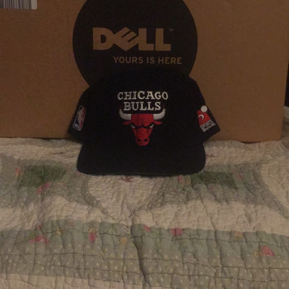 Vintage 1993 Bulls SnapBack
